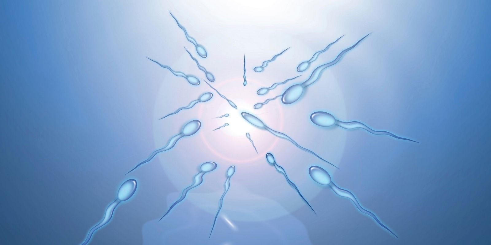 covid-19 and your fertility treatment male fertility