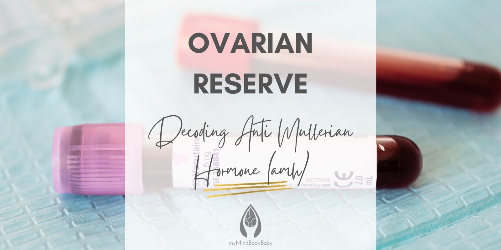Ovarian Reserve