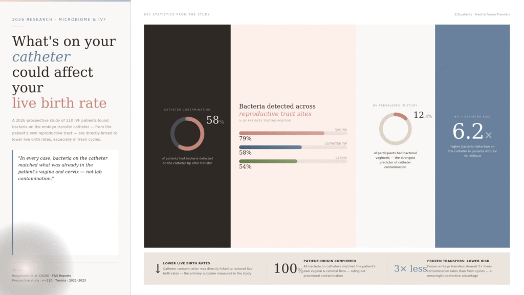 Infographic showing 2026 research linking embryo transfer catheter bacteria to lower IVF live birth rates.